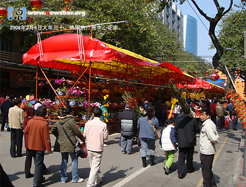 2008年2月6日广州教育路西湖路中心花市热闹非凡。