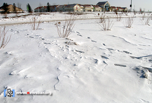 吉林省，长春通往延吉的高速公路布满积雪。